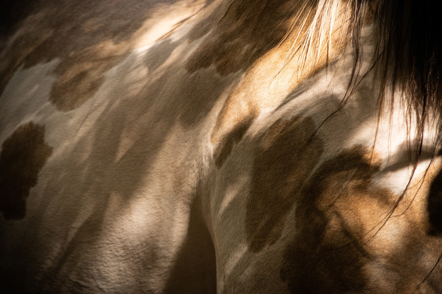 Photo de Beauty Color Star 3